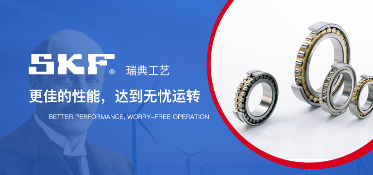 贝瑞霖(上海)轴承机电有限公司